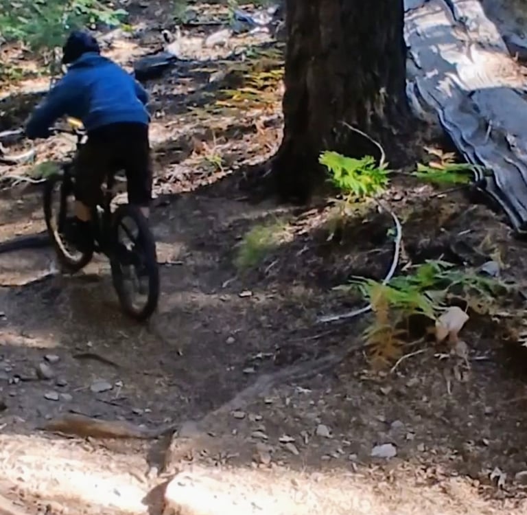 Back view of mtb rider about to go through a root section