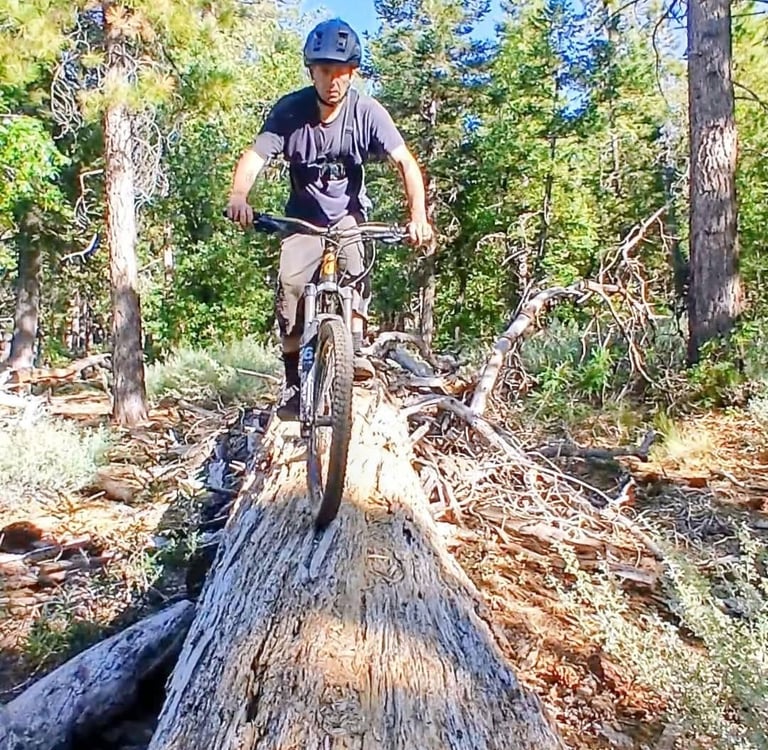 Mark Hower riding a mountain bike along the top of a large fallen log through a pine forest, demons