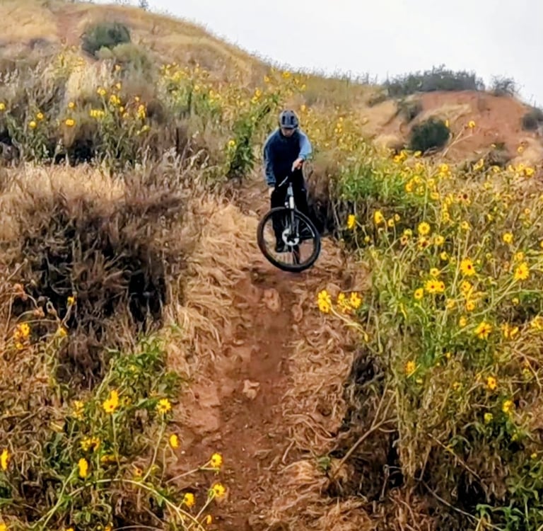Mountain biker riding down a trail in the rain