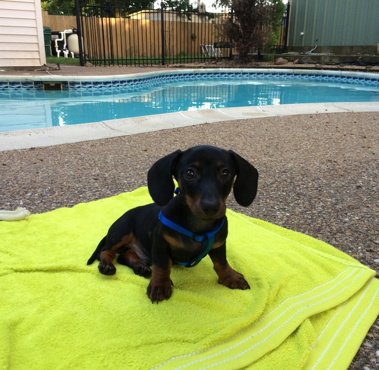 K-SCOOPS.com | Discovering the Scoop Life