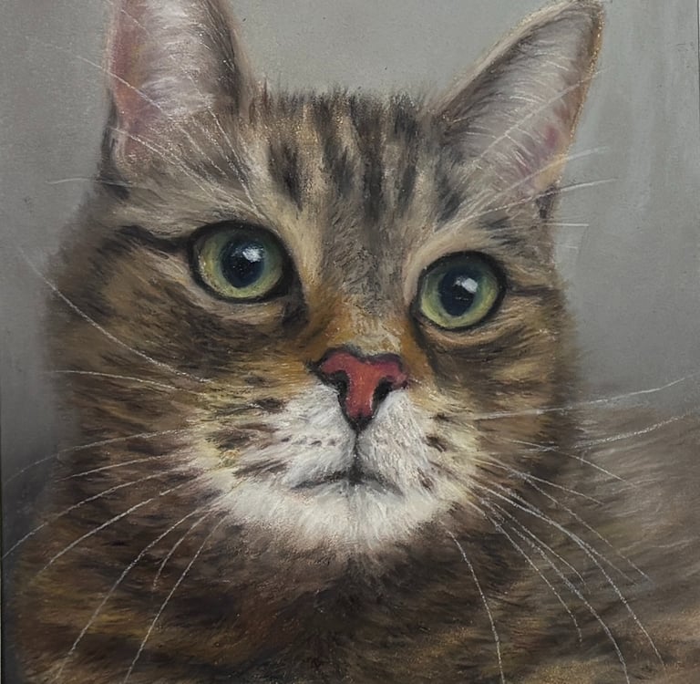 Soft pastel drawing of a Tabby cat 