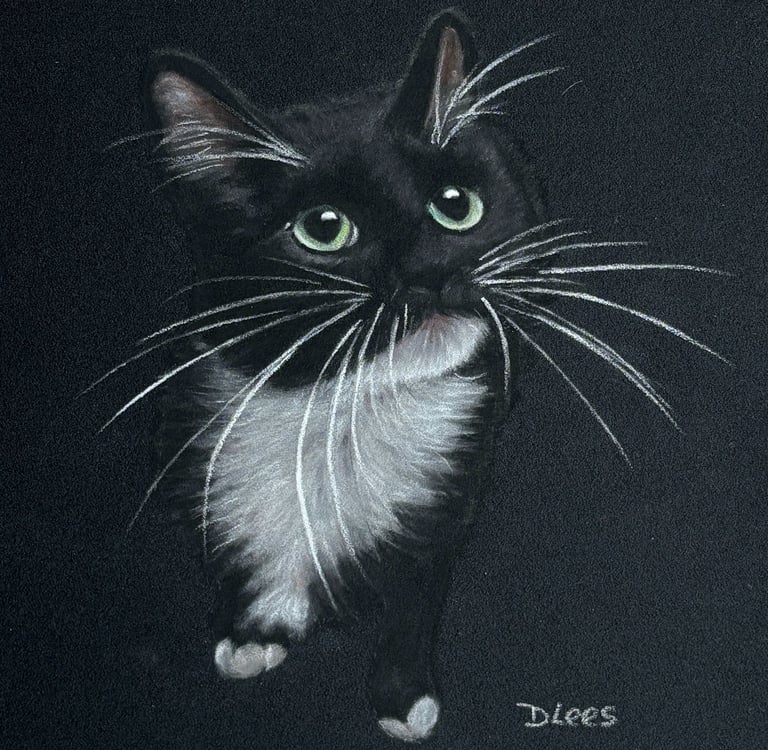 Soft pastel drawing of a Tuxedo black and white kitten