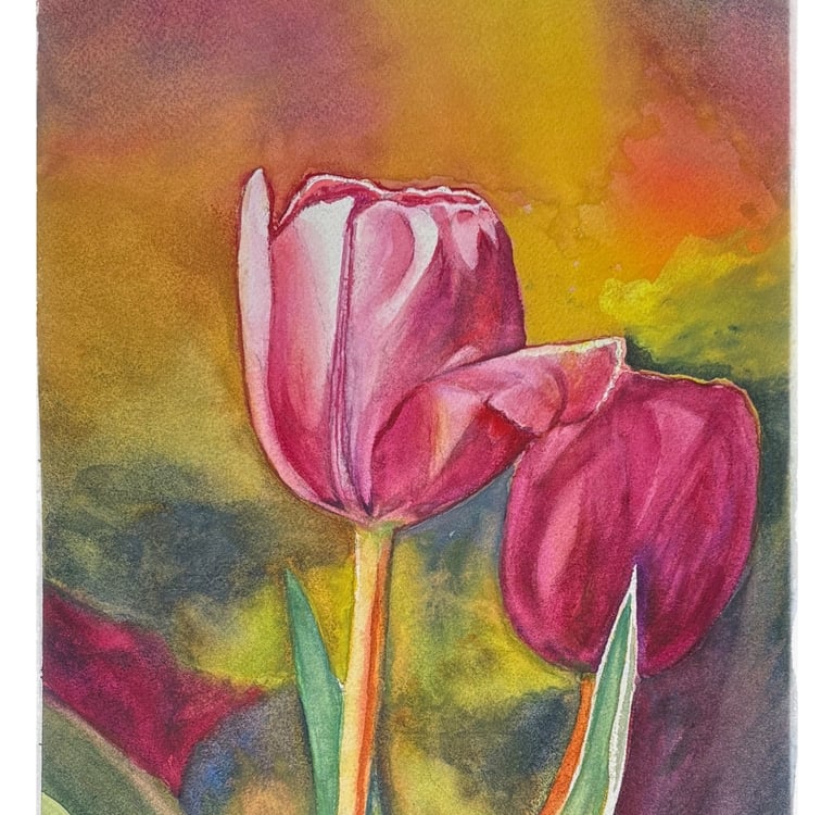 Watercolour of two pink Tulip flowers