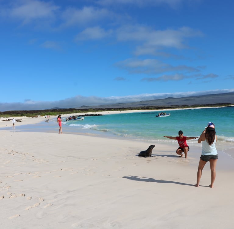Family observing sea lion wildlife on a Galápagos Island nature walk beach