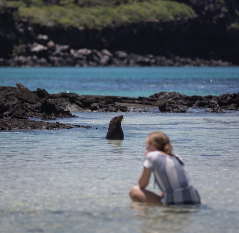 Remote protected beach experience in the Galápagos Islands