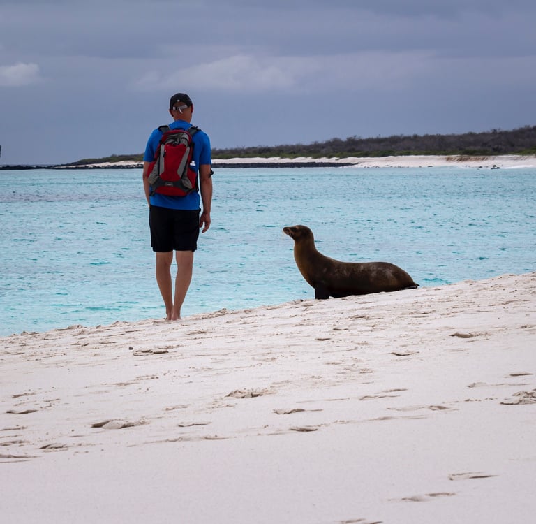 solo traveler galapagos adventure immersive nature exploration