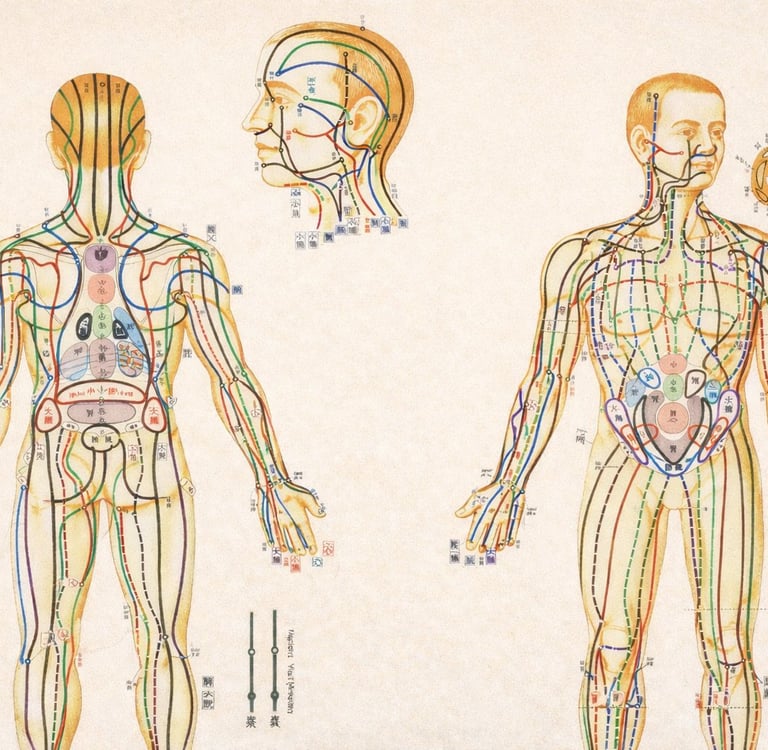 mappa meridiani shiatsu masunaga