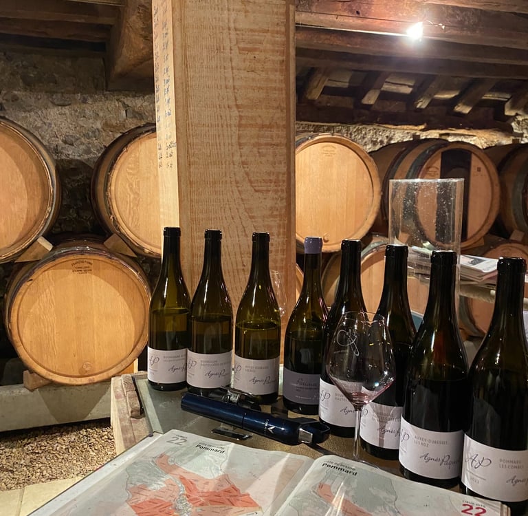 investissement dans le vin conseiller