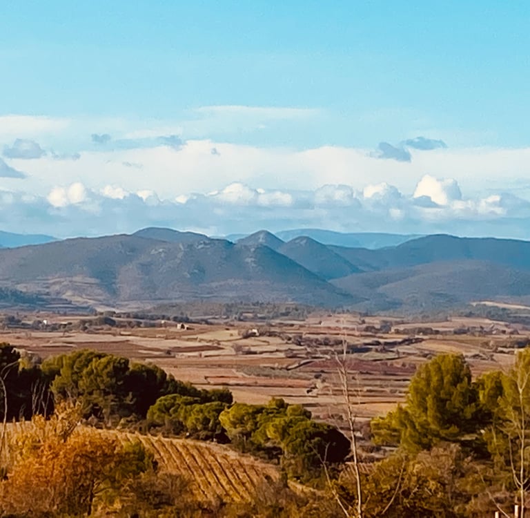 Panoramic landscape of rural agricultural fields and vineyards in a valley below rolling blue mountains.