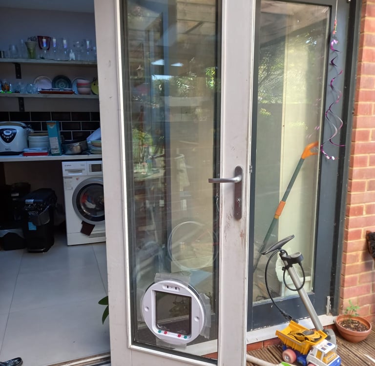 cat flap installed in door