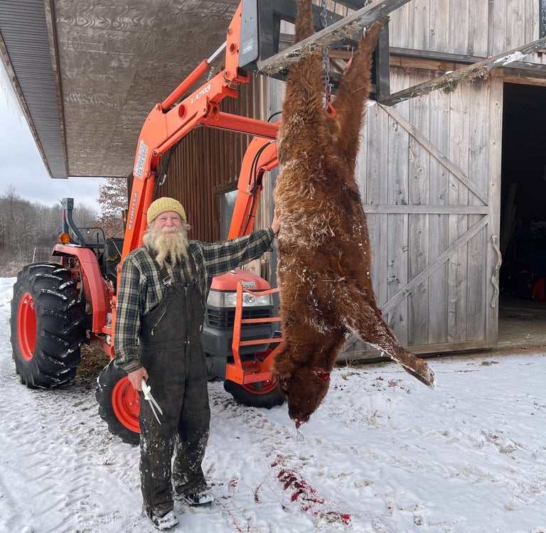 Farmer Brian stands next to a butchered bull