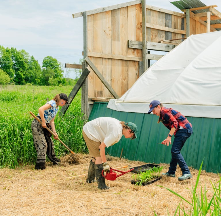 three people are working on a farm