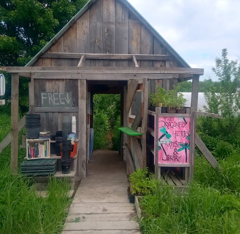 A wooden farmstand with an open entrance, featuring signs for organic eggs, free produce, and 'The D