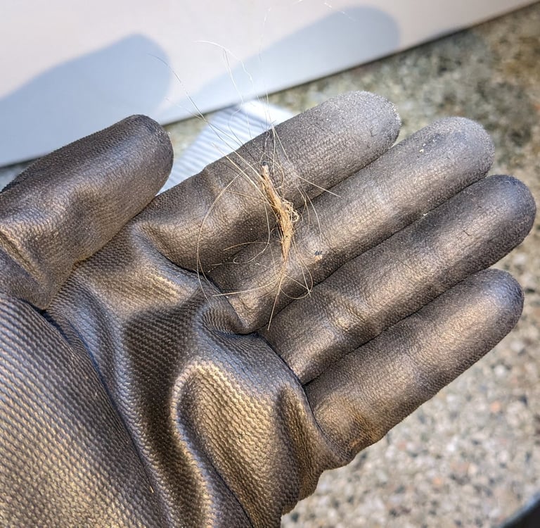 Hairs on a hand that wears black glove