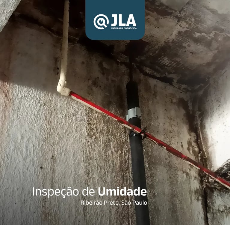 inspeção de umidade feita por nós em ribeirão preto