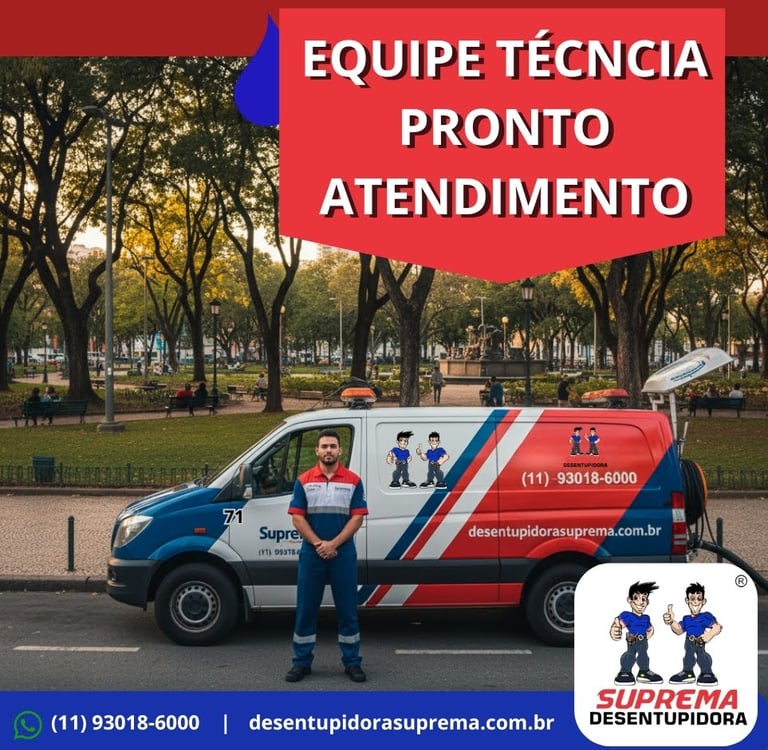empresa desentupimento
