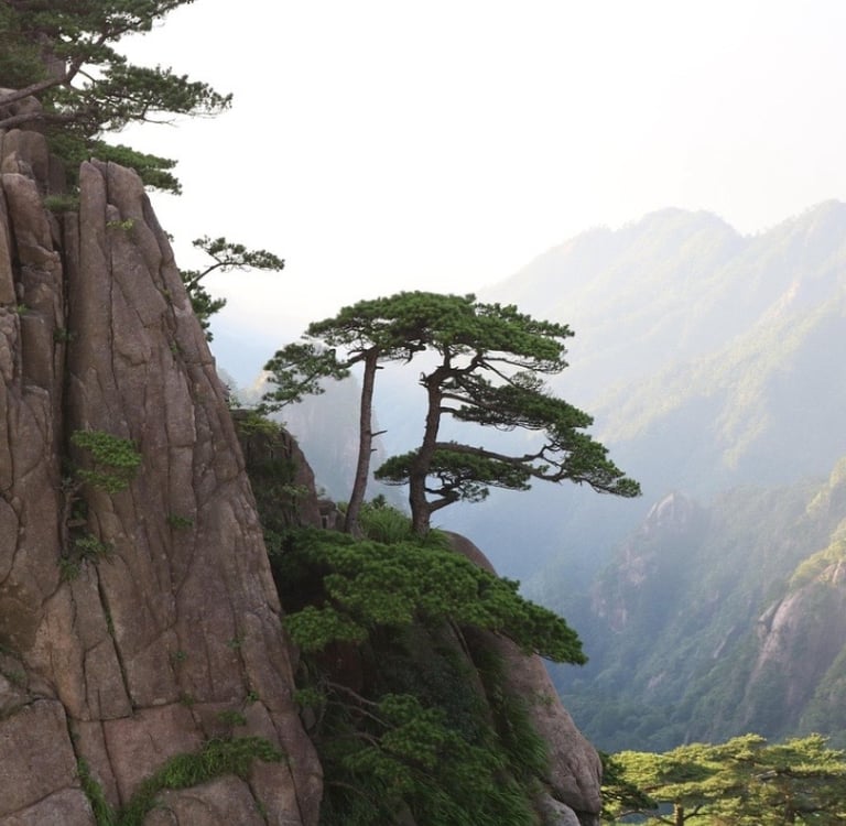 a mountain scene with a mountain range in the background