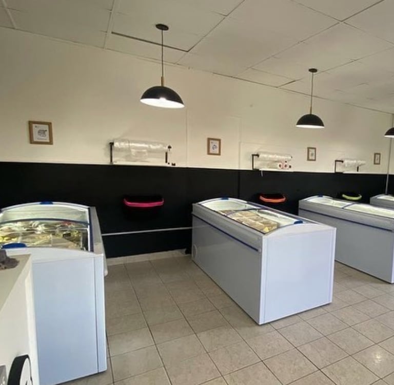 a display case with a variety of different types of food