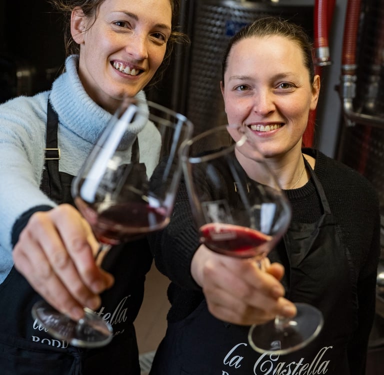 Vino di Roddino delle Langhe