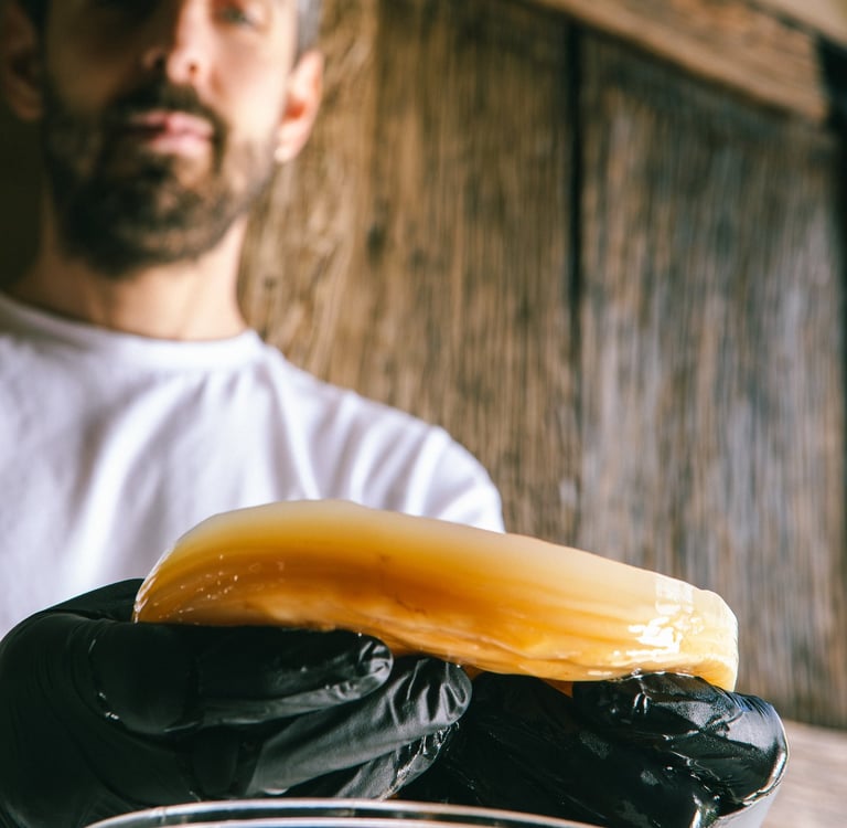 kombucha artigianale siciliana