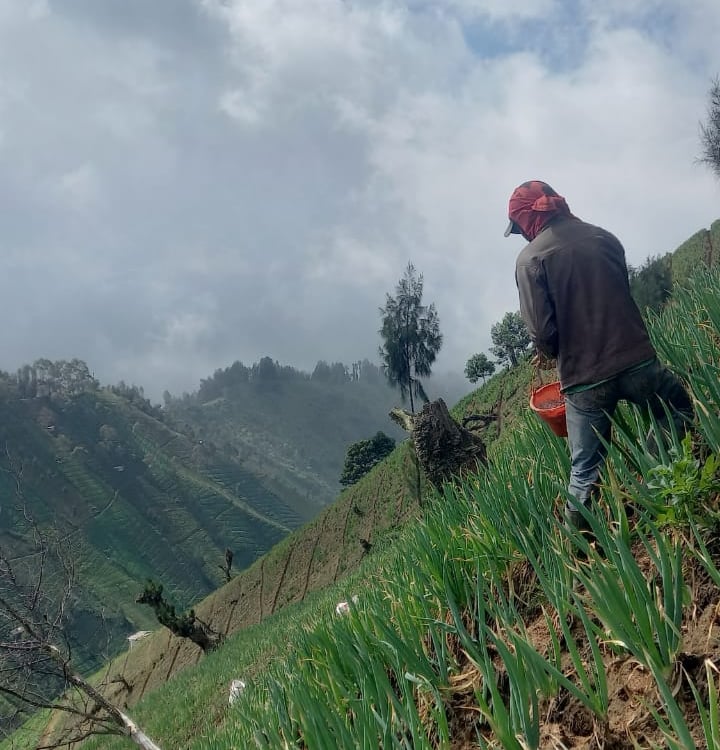 Pertanian ekstrem di Argosari