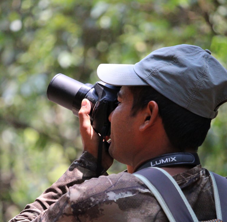 Daman photographiant un oiseau dans le Parc National de Bardiya