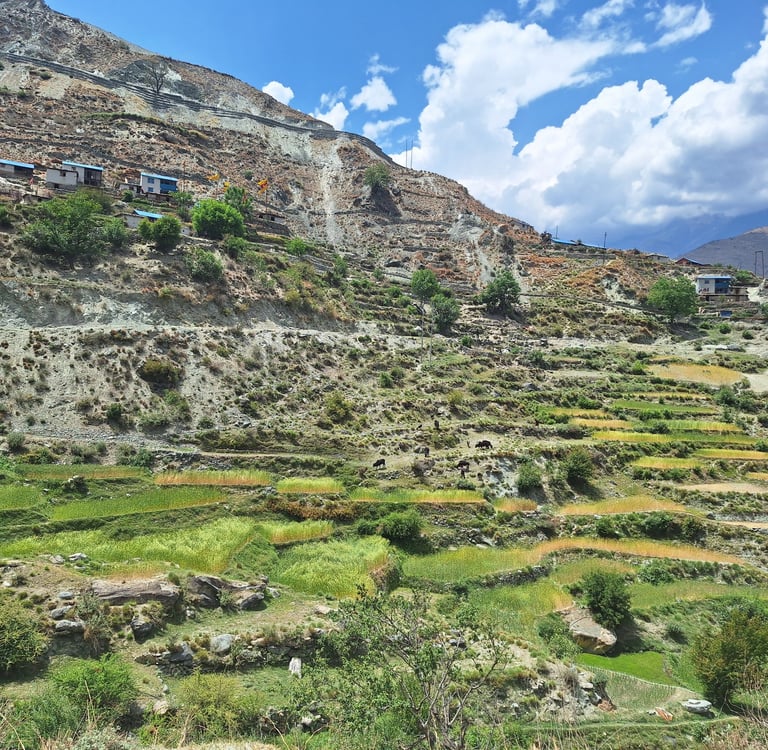 nepal trekking landscape
