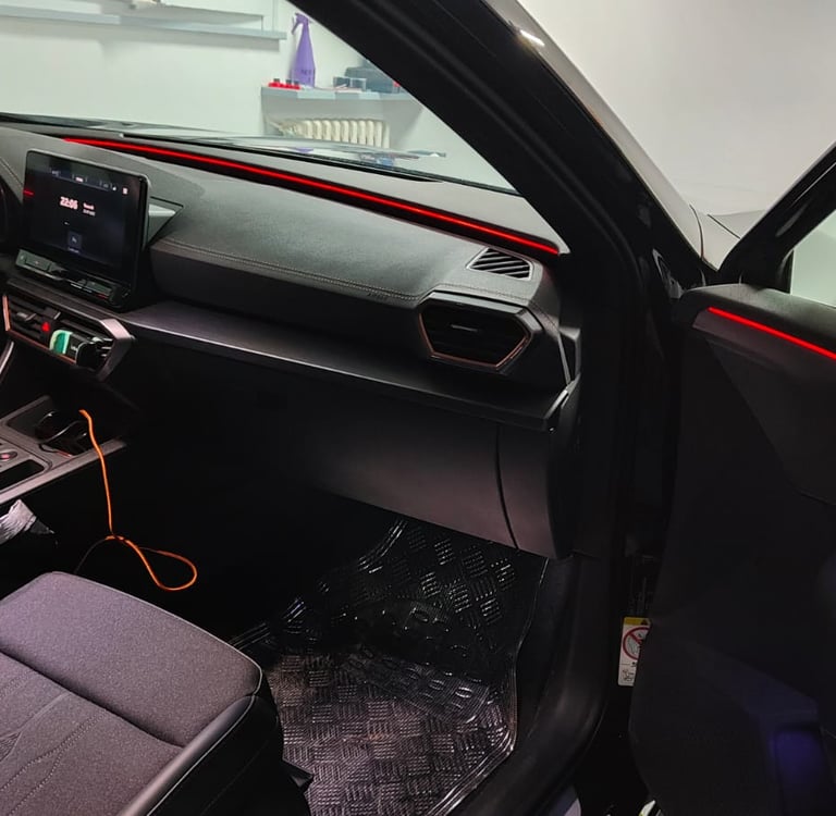 Pulizia e lavaggio interni