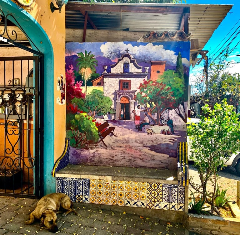 Wander around Ajijic