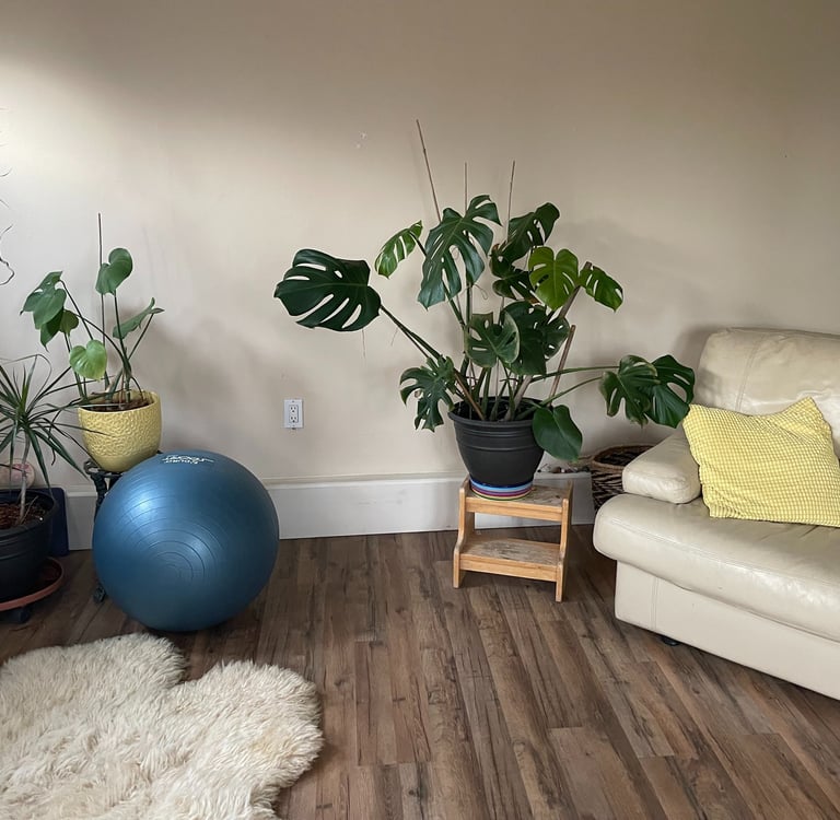 Treatment Room with a couch and plants