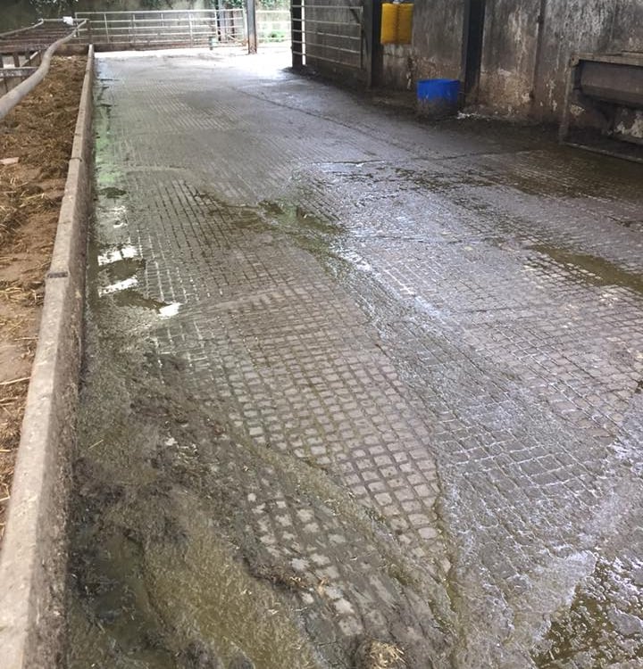 rainurage Angleterre