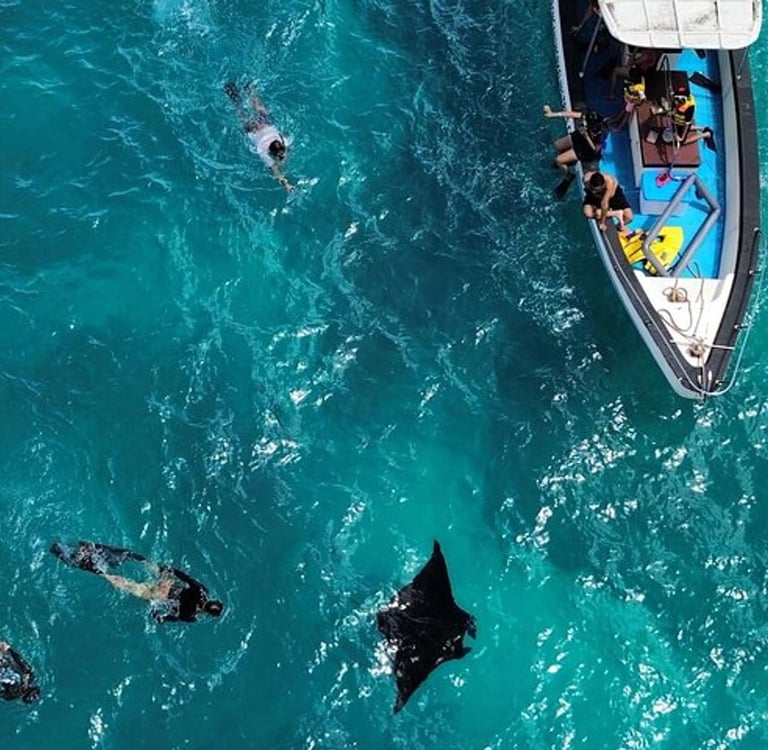 Snorkeling Nusa Penida