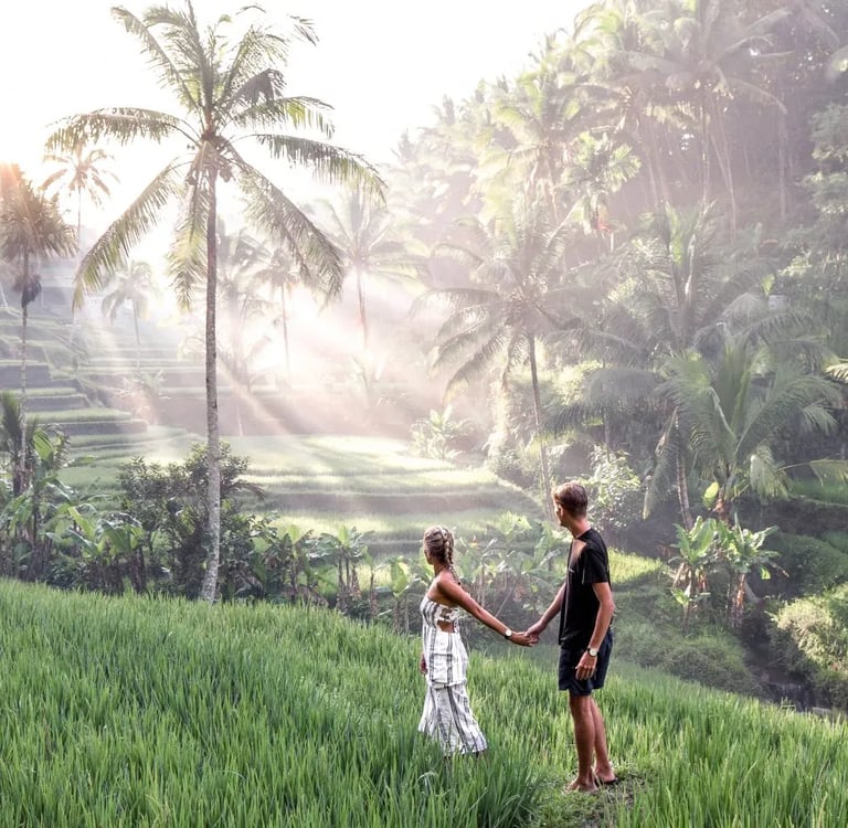 Rice Terrace - Ubud - Tegalalang