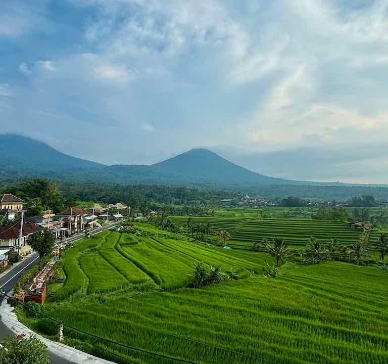 Jatiluwih Rice Terrace Bali