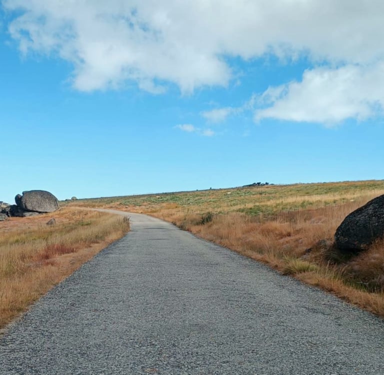 transfer transportation services airport anywhere portugal serra da estrela