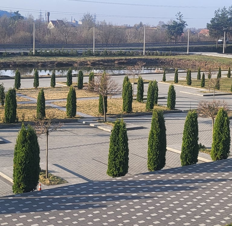 озеро для весільної церемонії