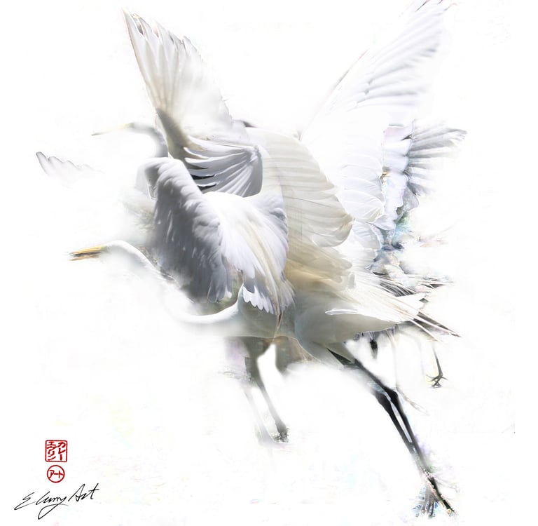 digital photo montage print, collage photography, bird, crane, white