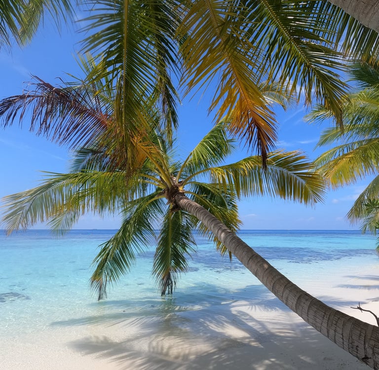 plage sable blanc palmier maldives