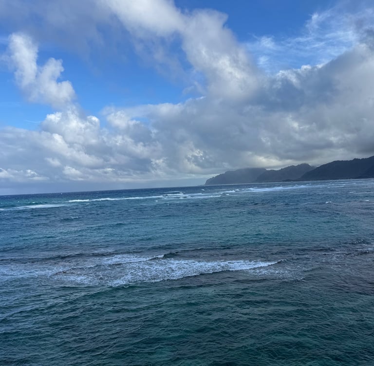 RSS   ist eine innovatives Bewegungsmethode,, die sich auf die drei Säulen Loslassen, Längen und Stä