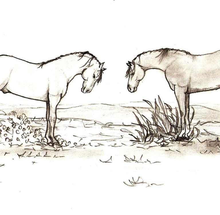 Desenho de Jaum repesentando um garanhão  encorajando seu filho, de 2005