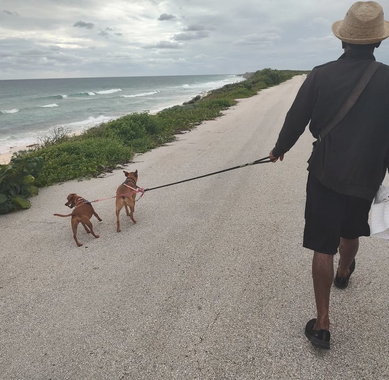 my husband and our dogs walking along the Cozumel coastline