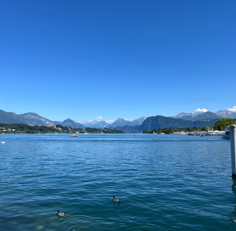 The view of the Alps from Nationalquai