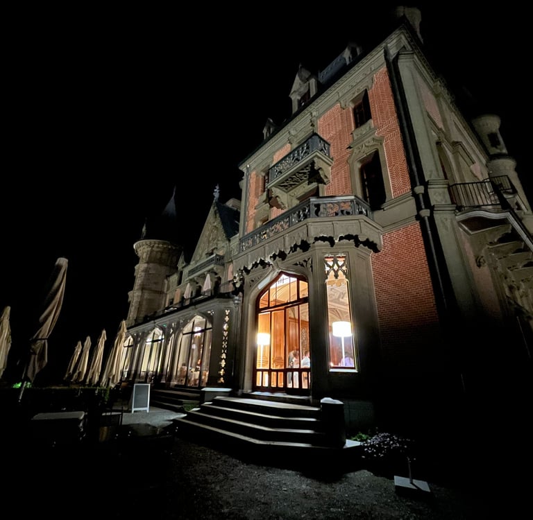 Looking up a Schloss Schadau in Thun Switzerland at night