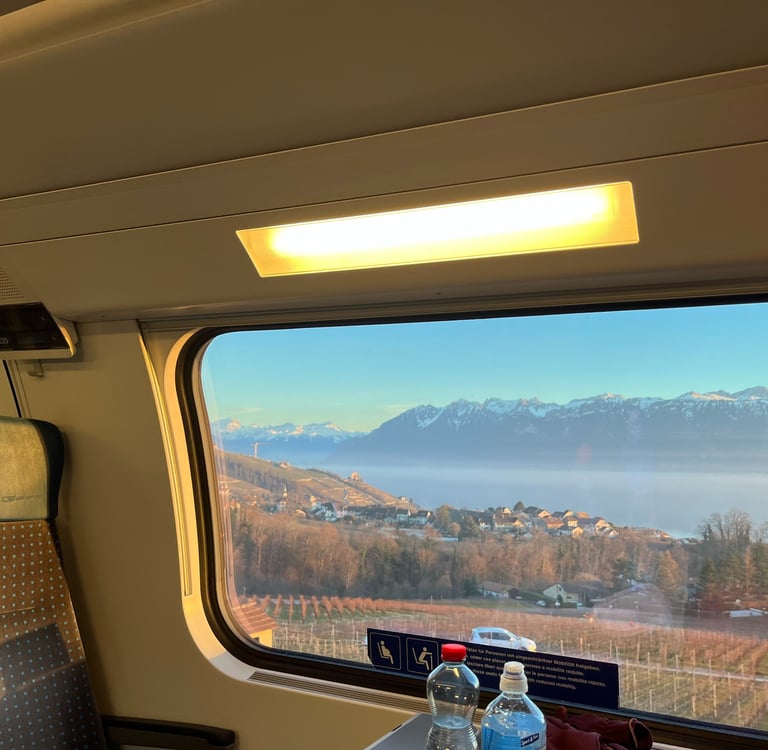 View of the vineyards over Lake Geneva from the Train