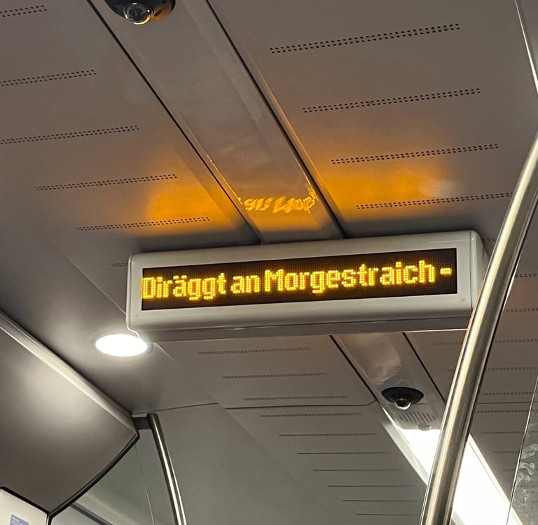A sign on the train to Basel Switzerland saying Diraggt an Morgestraich