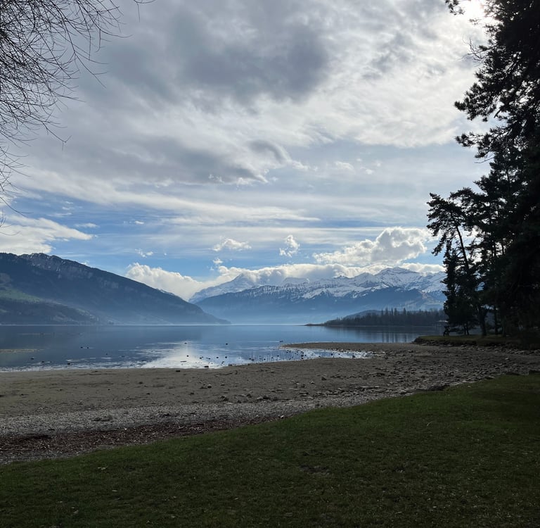 A view looking up Lake Thun from the beech in Thun Switzerland