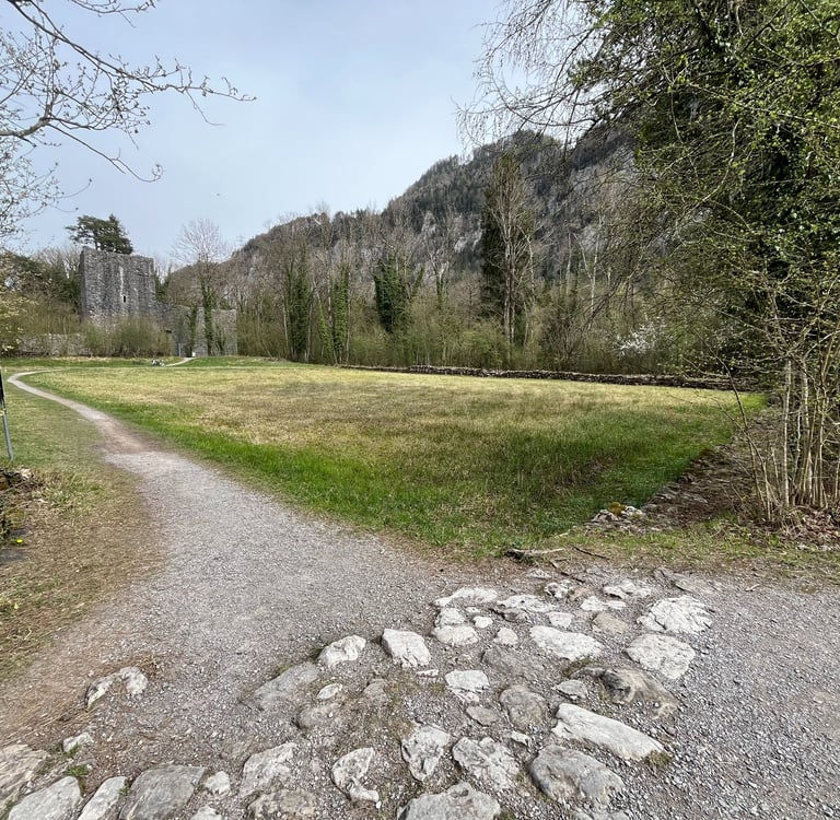 View of Castle Ruins at Weissenau just outside of Interlaken