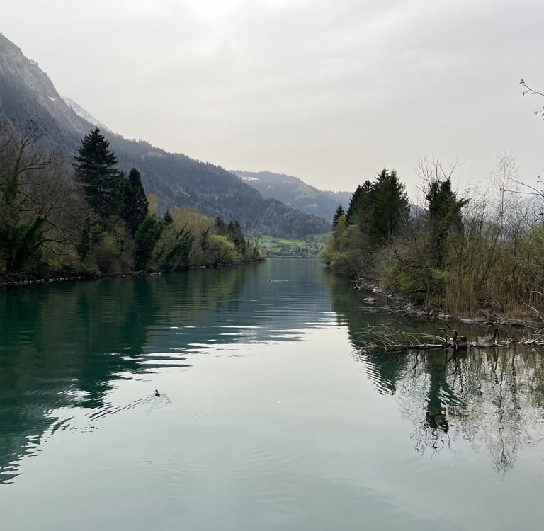 Looking down the Aare River at Lake Thun