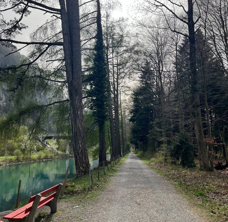 A path along the blue water of the Interlaken Ship Canal in Interlaken Switzerland