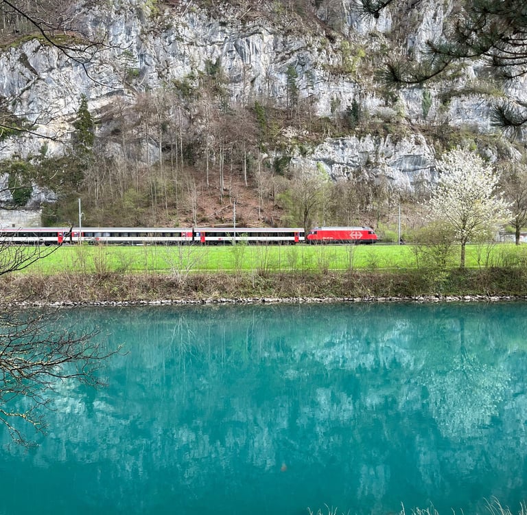 View looking across the Interlaken Ship Canal at a passenger train going by.